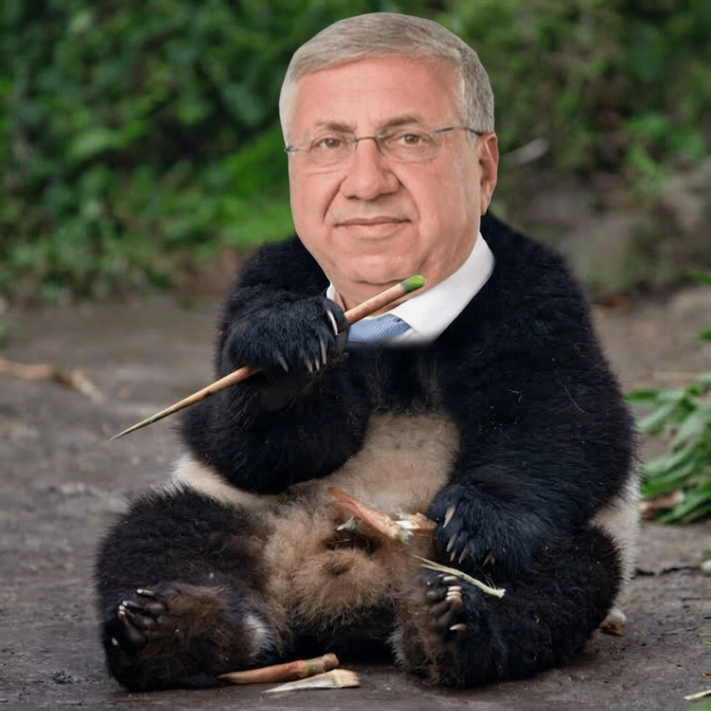 replace the head of the panda with the head of the man.