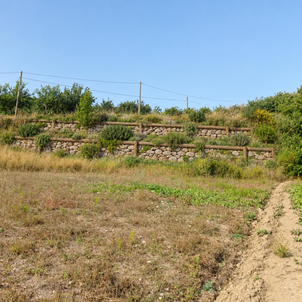 aboliamo il muro di cemento e inseriamo un intervento di ingegneria naturaliìsticacon travi e pietre a secco