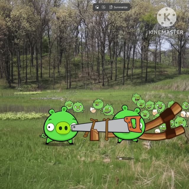 Minion Pigs From Angry Birds Are Destroying The Slingshot And Stealing All Eggs