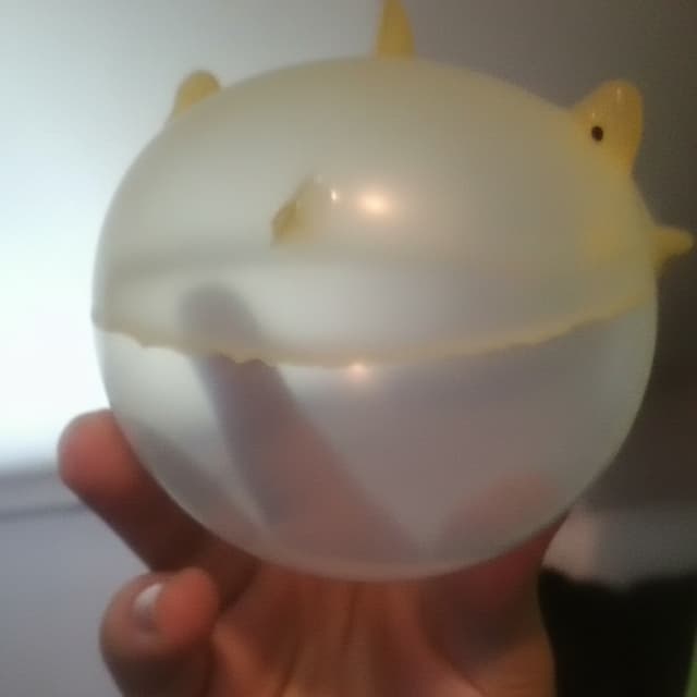 can you inflate this shark more