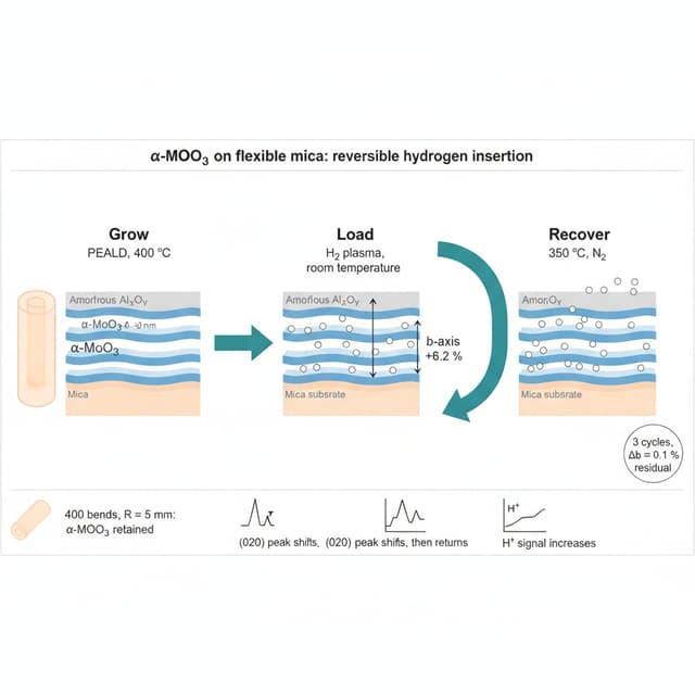 Create a clean, flat-style scientific graphical abstract for a materials-science
journal (Elsevier style), landscape format with a 2.5:1 aspect ratio (e.g.
3000 × 1200 px), white background, minimal text, readable when reduced to 13 cm
width. Vector-like look, soft gradients only, no photorealism, no 3D clutter.
TITLE STRIP (top, small): "α-MoO₃ on flexible mica: reversible hydrogen insertion"
LAYOUT: three panels read left to right, linked by two bold arrows, plus a curved
"loop" arrow beneath panels 2 and 3 to show reversibility.
PANEL 1 – "Grow" (label: "PEALD, 400 °C"):
A thin, translucent mica sheet gently rolled into a cylinder (the substrate is
flexible and rollable). Beside it, a cross-section schematic of the stack, drawn
as three horizontal layers from top to bottom: amorphous AlₓOᵧ cap (grey, ~13 nm),
layered α-MoO₃ (blue, 40–80 nm) drawn as stacked van der Waals sheets with a
narrow regular gap, and mica substrate (pale orange/beige, with a subtle
layered texture).
PANEL 2 – "Load" (label: "H₂ plasma, room temperature"):
The same cross-section, now with small hydrogen atoms (white spheres with a
thin outline) entering the gaps between the MoO₃ layers. The gaps are visibly
wider than in panel 1. Add a double-headed vertical arrow across one expanded
gap labelled "b-axis +6.2 %". Keep the layer count identical to panel 1 so that
the viewer sees only the gap widening.
PANEL 3 – "Recover" (label: "350 °C, N₂"):
The cross-section returns to the narrow-gap state of panel 1, with hydrogen
atoms leaving upwards. Small badge: "3 cycles, Δb ≈ 0.1 % residual".
BOTTOM STRIP (small icons with 2–3 words each):
- bent mica icon: "400 bends, R = 5 mm: α-MoO₃ retained"
- a small XRD-peak icon with a left shift: "(020) peak shifts, then returns"
- a small ToF-SIMS-style depth profile icon: "H⁺ signal increases"
STYLE: palette limited to blue (MoO₃), grey (AlₓOᵧ), warm beige/orange (mica),
white (hydrogen), and one accent colour for arrows. Sans-serif font (Arial or
Helvetica), text no smaller than 12 pt at final size, high contrast, generous
white space, consistent line weights. Text must be spelled exactly as given,
in British English.
AVOID: photographs, logos, stock-image look, dense paragraphs, chemical
equations, numerical tables, hydrogen-storage capacity values, Si wafers,
reproduction of any XRD pattern or SEM image from the paper, decorative
gradients that reduce legibility.
Resolution >= 300 DPI. Output = PNG & TIFF