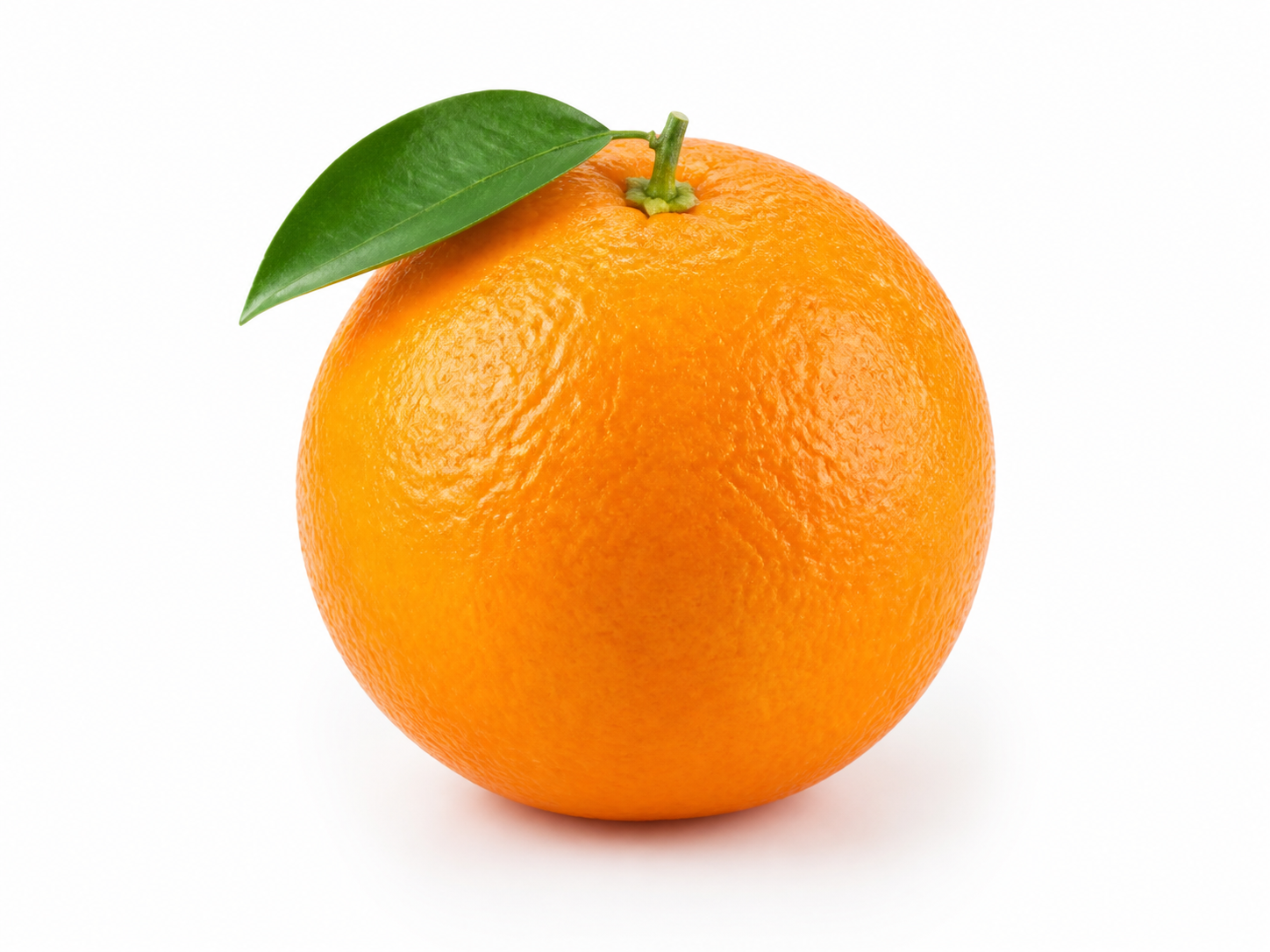 Reference image supplied to every model for this test