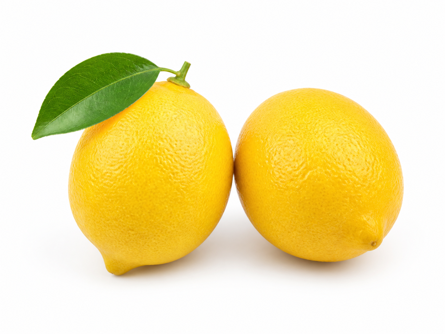 Reference image supplied to every model for this test